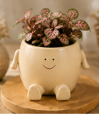 Happy Buddy Planter - Brown
