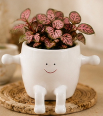 Happy Buddy Planter - White